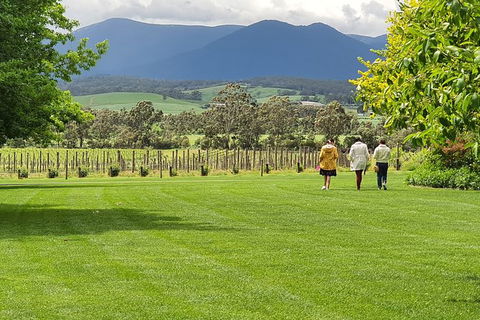 Yarra Valley Wine Tasting Day Tour From Melbourne - Accommodation Sydney 6