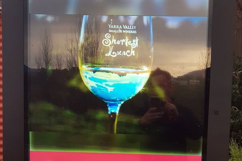 Yarra Valley Wine Tasting Day Tour From Melbourne - Accommodation Sydney 4