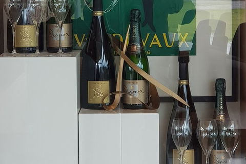 Yarra Valley Wine Tasting Day Tour From Melbourne - Accommodation Sydney 2