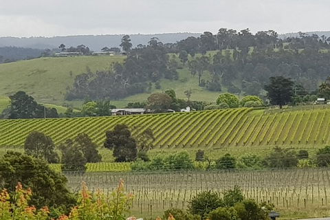 Yarra Valley Wine Tasting Day Tour From Melbourne - Accommodation Sydney 0