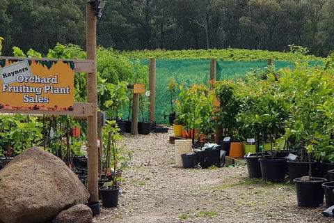 Yarra Valley Wineries And Rayners Orchard Tour From Melbourne - Accommodation Sydney 0