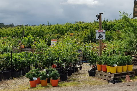 Yarra Valley Wineries And Rayners Orchard Tour From Melbourne - Accommodation Sydney 22