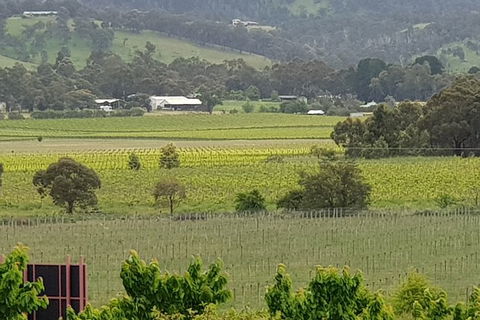 Yarra Valley Wineries And Rayners Orchard Tour From Melbourne - Accommodation Sydney 2