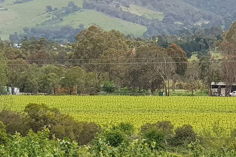 Day Tour Of Yarra Valley Puffing Billy And Rayners Orchard - Accommodation Sydney 44