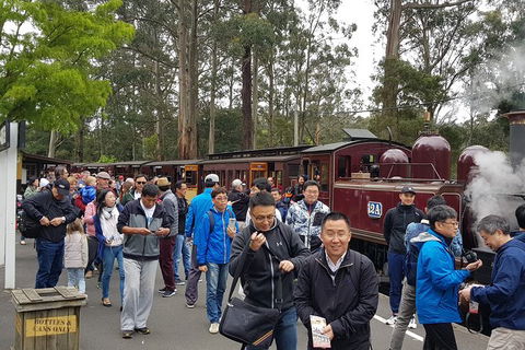 Day Tour Of Yarra Valley Puffing Billy And Rayners Orchard - Accommodation Sydney 3
