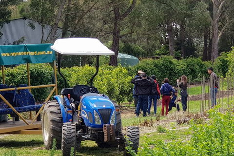 Day Tour Of Yarra Valley Puffing Billy And Rayners Orchard - Accommodation Sydney 10