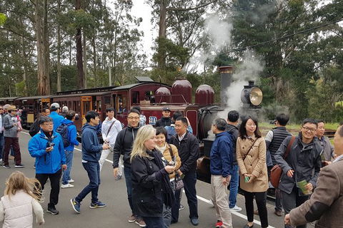 Day Tour Of Yarra Valley Puffing Billy And Rayners Orchard - Accommodation Sydney 18