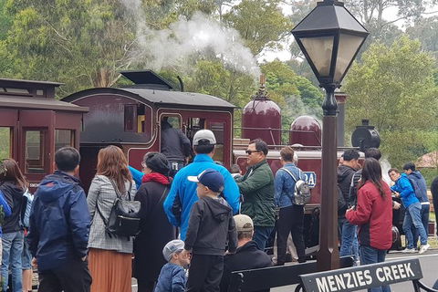 Day Tour Of Yarra Valley Puffing Billy And Rayners Orchard - Accommodation Sydney 40