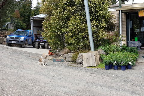 Day Tour Of Yarra Valley Puffing Billy And Rayners Orchard - Accommodation Sydney 6
