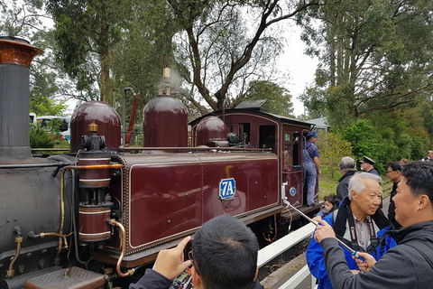 Day Tour Of Yarra Valley Puffing Billy And Rayners Orchard - Accommodation Sydney 28