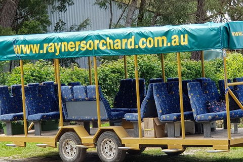 Day Tour Of Yarra Valley Puffing Billy And Rayners Orchard - Accommodation Sydney 33