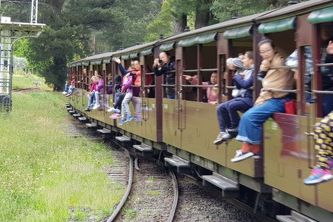Day Tour Of Yarra Valley Puffing Billy And Rayners Orchard - Accommodation Sydney 13