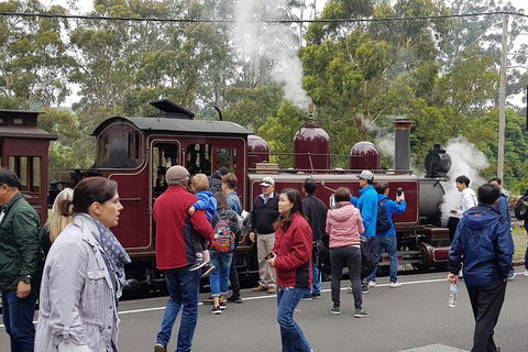 Day Tour Of Yarra Valley Puffing Billy And Rayners Orchard - Accommodation Sydney 4