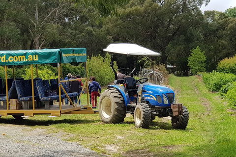 Day Tour Of Yarra Valley Puffing Billy And Rayners Orchard - Accommodation Sydney 25