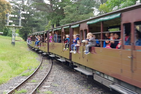 Day Tour Of Yarra Valley Puffing Billy And Rayners Orchard - Accommodation Sydney 24
