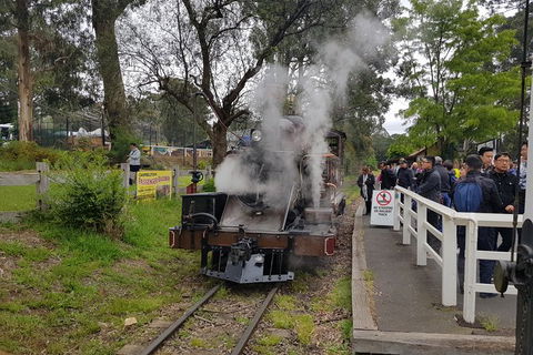 Day Tour Of Yarra Valley Puffing Billy And Rayners Orchard - Accommodation Sydney 43