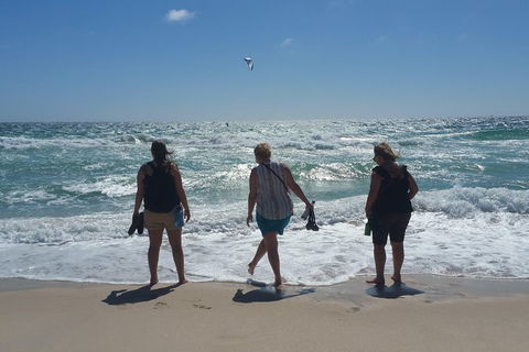 Very Best Of Perth Tour - Wildlife Park & City Highlights Tour - Sydney 4u 16