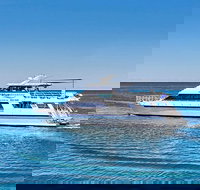 Rottnest Island Dive  Snorkel Day Trips - Accommodation Sydney