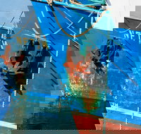 Photography Tour of Historical Fremantle and Street Art. - Accommodation Sydney