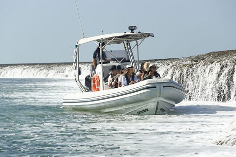Cygnet Bay Explorer - Sydney 4u 8