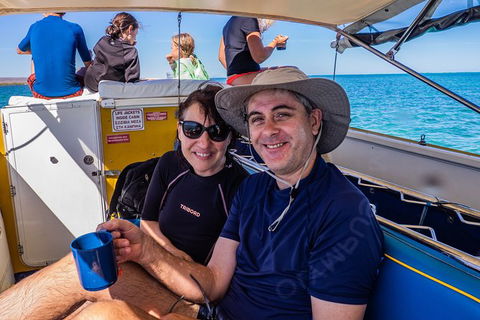 Ningaloo Immersion Private Charter - Accommodation Sydney 7