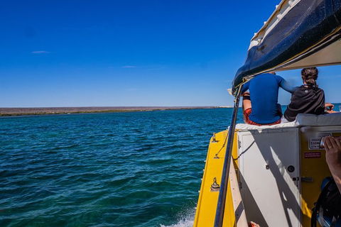 Ningaloo Immersion Private Charter - Accommodation Sydney 0