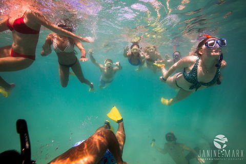Ningaloo Immersion Private Charter - Accommodation Sydney 8