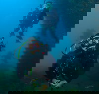 Scuba Dive The Beautiful Rottnest Island - Accommodation Sydney