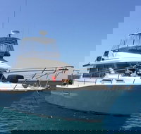 Single Boat Dive - Accommodation Sydney