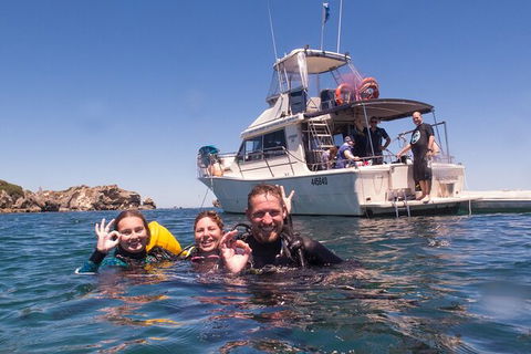 Single Boat Dive - Accommodation Sydney 1