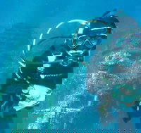 PADI Open Water Course - Accommodation Sydney