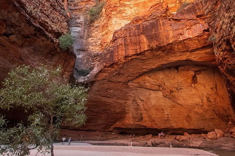 Bungles Day Trek Extended (with Echidna Chasm) - Accommodation Sydney 0