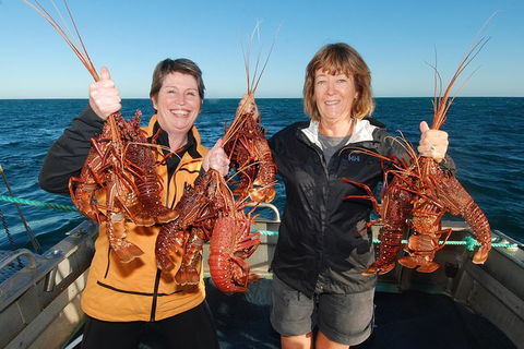 Abrolhos Islands 5 Day Tours - Sydney 4u 1