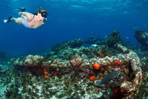 Abrolhos Islands 5 Day Tours - Sydney 4u 3