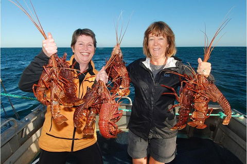 Abrolhos Islands 5 Day Tours - Sydney 4u 0