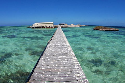 Abrolhos Islands 5 Day Tours - Sydney 4u 4