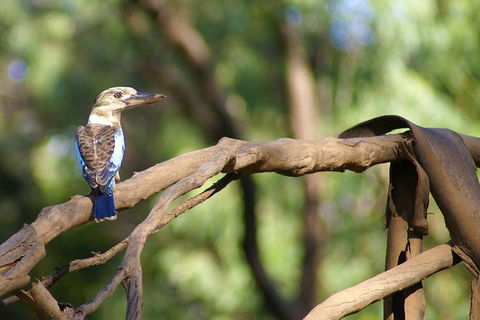 Ord River Experience With Riverside Lunch - Accommodation Sydney 1