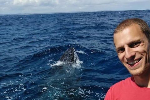 Whale Watching Boat Tour In Geraldton - Accommodation Sydney 2