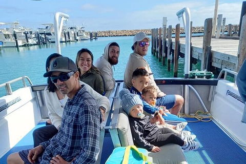 Whale Watching Boat Tour In Geraldton - Accommodation Sydney 1
