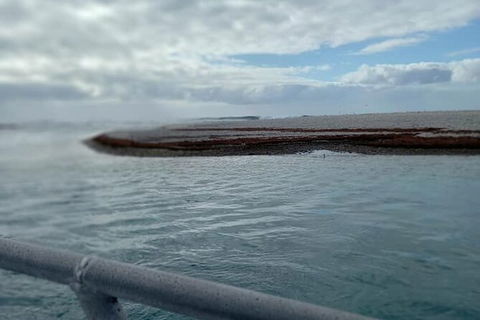 Abrolhos Islands Fishing Charter - Sydney 4u 6