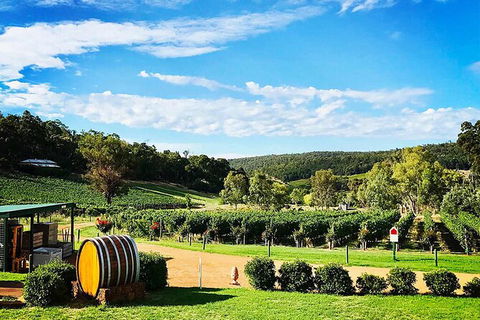 Bickley Valley Wine & Cider Tour - Premium Small Group Tour - Accommodation Sydney 0