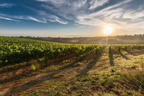 Perth To Margaret River Wine Tour - 2 Day Premium Boutique Wine Tour Experience - Accommodation Sydney 0