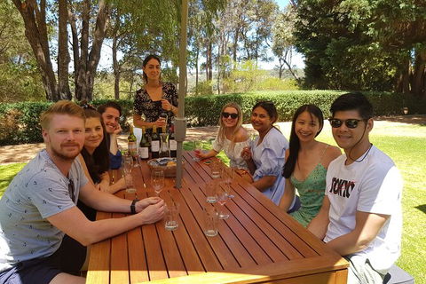 Full-Day Gourmet Wine Tour With Pick Up And Lunch - Accommodation Sydney 5