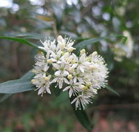 Booderee National Park - Accommodation Sydney