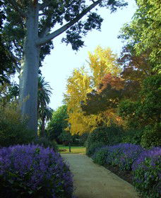 Albury NSW Sydney 4u