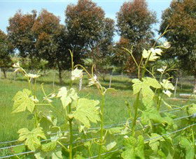 Accommodation Sydney