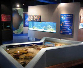 Marine And Freshwater Discovery Centre - Sydney Resort 0