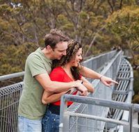 Valley of the Giants Tree Top Walk - Accommodation Sydney