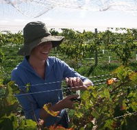Kingsdale Wines - Accommodation Sydney
