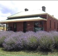 Lavender House in Railway Park - Accommodation Sydney